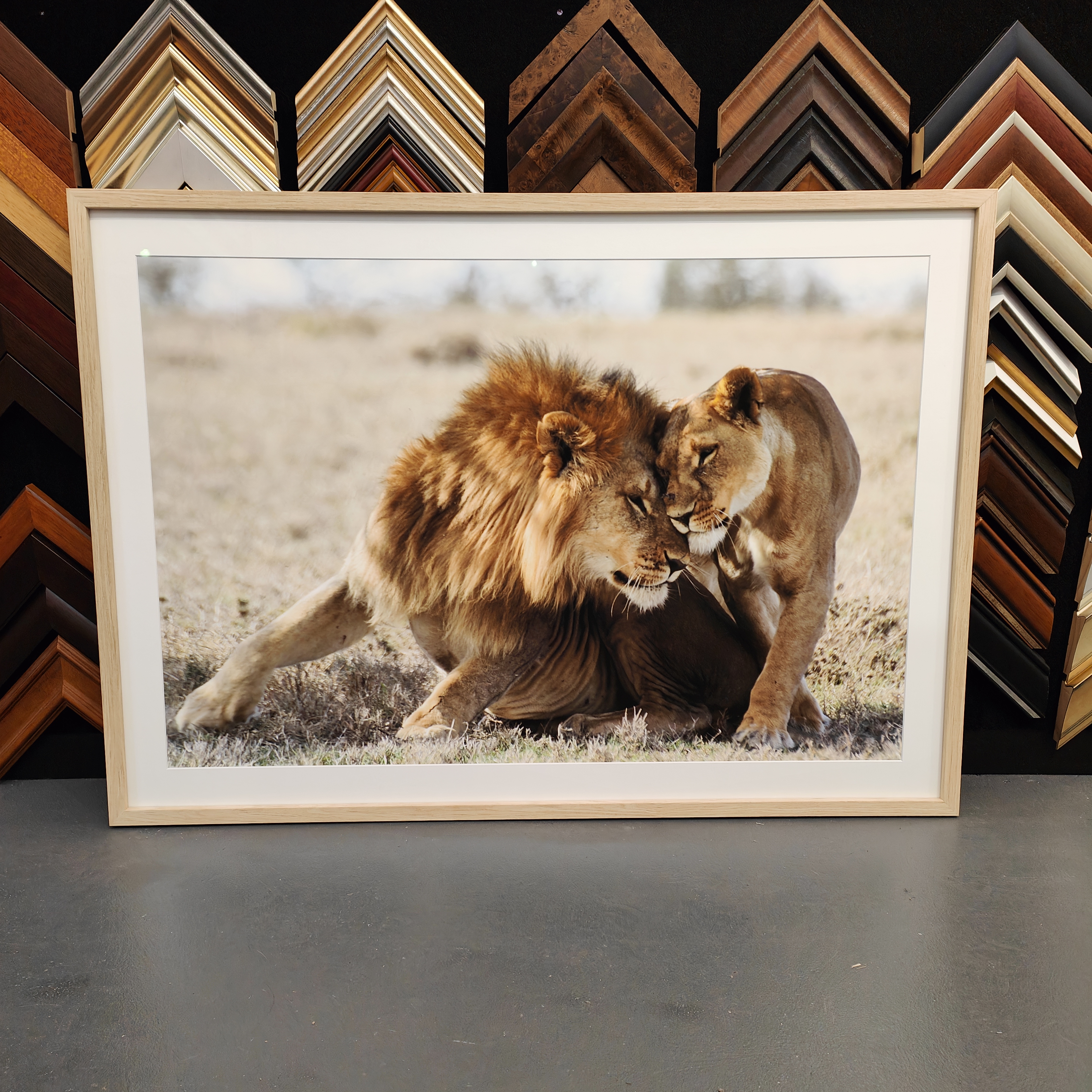 printed and framed lion image
